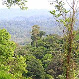 Costa Rica20150401-0130-0545